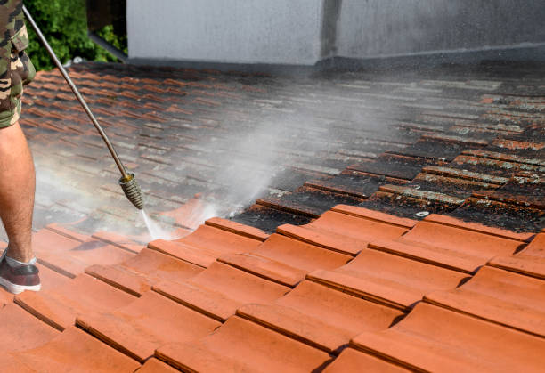 Best Best Pressure Washing Companies  in Pecos, TX