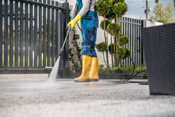 Best Local Pressure Washing Services  in Pecos, TX
